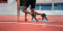Стартовые колодки Nelco соревновательные Olympic mpic PRO (PREMIER) IAAF