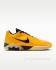 Кроссовки баскетбольные Кроссовки NIKE LEBRON WITNESS IX