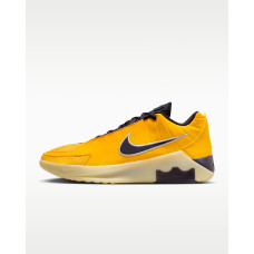 Кроссовки баскетбольные Кроссовки NIKE LEBRON WITNESS IX