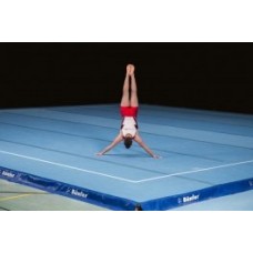 Гимнастический ковер Bänfer WIEMERS (FIG)