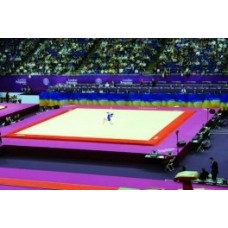 Гимнастический ковер GYMNOVA "London" (FIG)