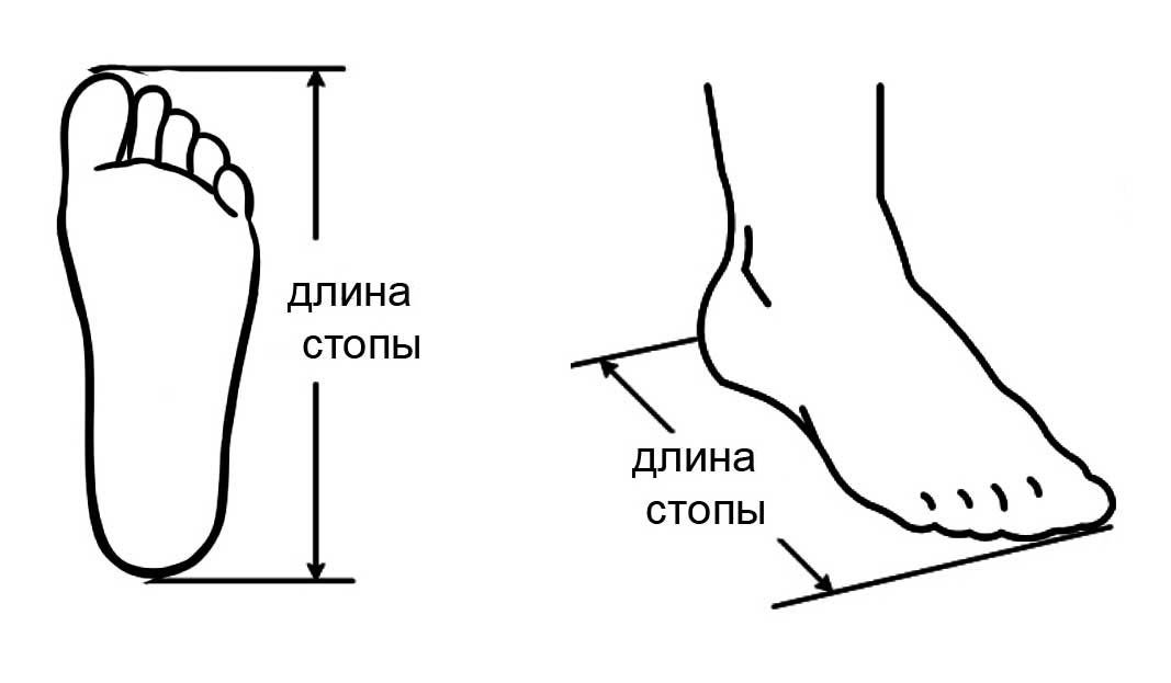 Длина стопы. Схема измерения стопы. Замер стопы для обуви. Измерить длину стопы. Измерение длины стопы для обуви.